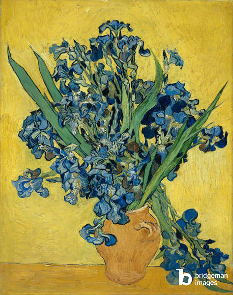 Irises, 1890 