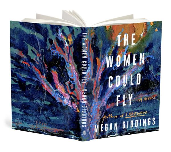 The women could fly book cover