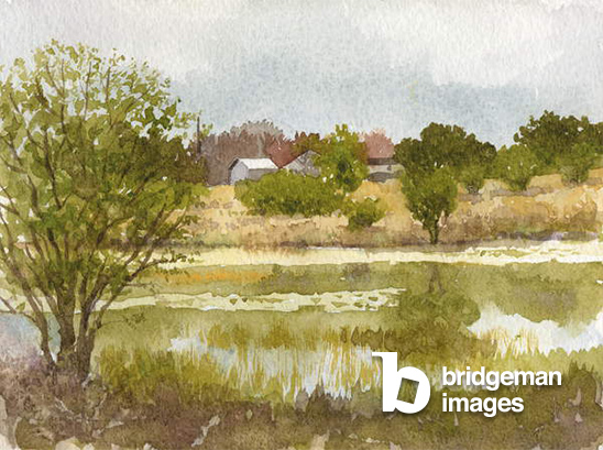 Crumley's Pond, 2014 (w/c on paper), Rob Wood, (b.1946) / Private Collection / Bridgeman Images