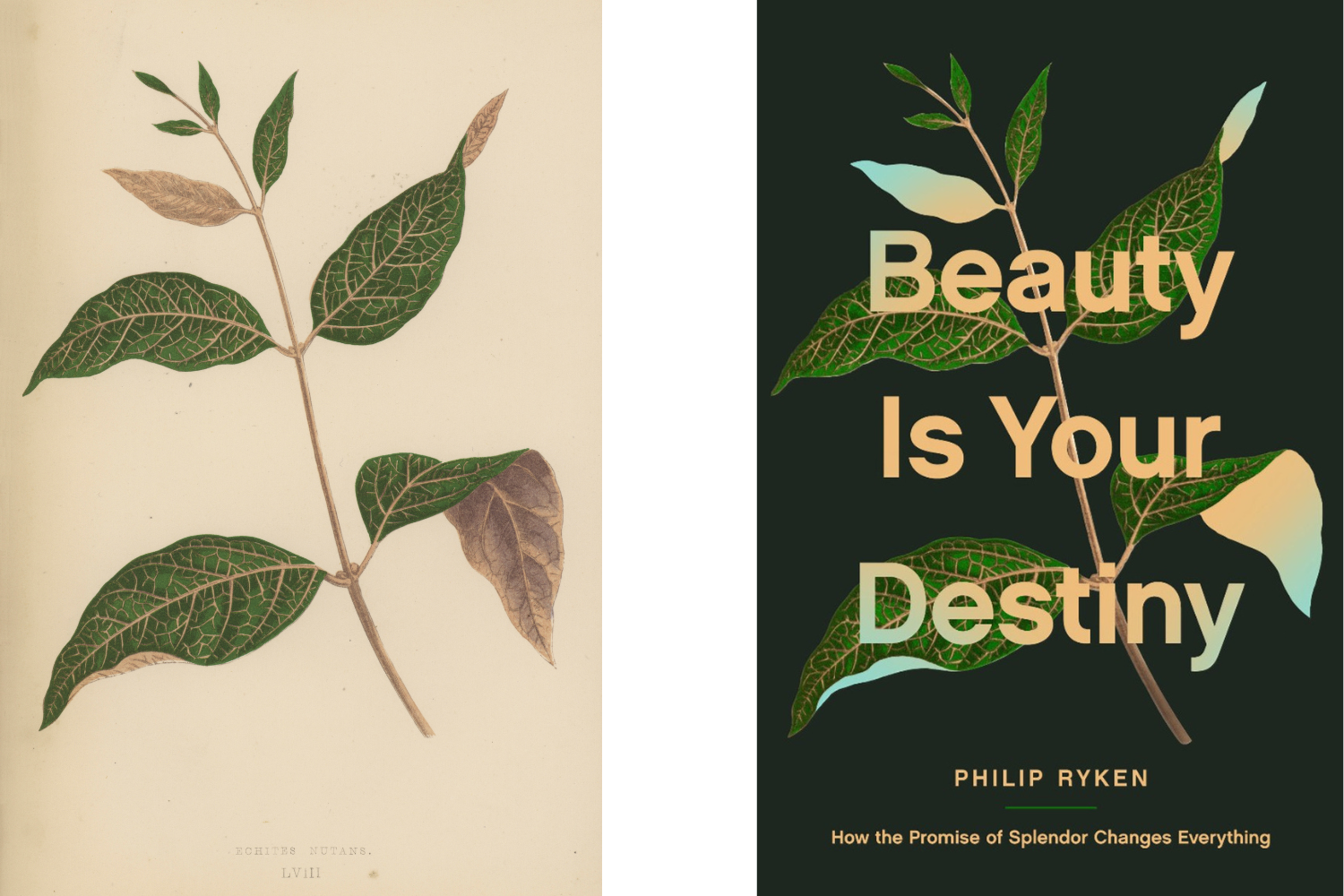 Beauty is Your Destiny, Tim Green Book Cover Design