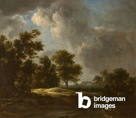A wooded landscape with a track and a stream in the foreground (oil on canvas), Jacob Isaaksz. or Isaacksz. van Ruisdael (1628/9-82) / Drumlanrig Castle, Dumfries, UK / The Buccleuch Collections / Bridgeman Images