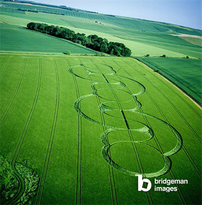 photo of Crop circle in a barley field, Beckhampton, Wiltshire, 5th June 2005 (aerial photograph), Continuous flow pattern intimating infinity, © Francine Blake / Bridgeman Images