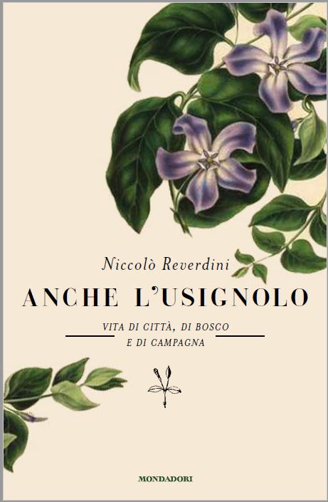 Copertina de Anche L'Usignolo di Niccolò Reverdini, Pubblicato da Mondadori