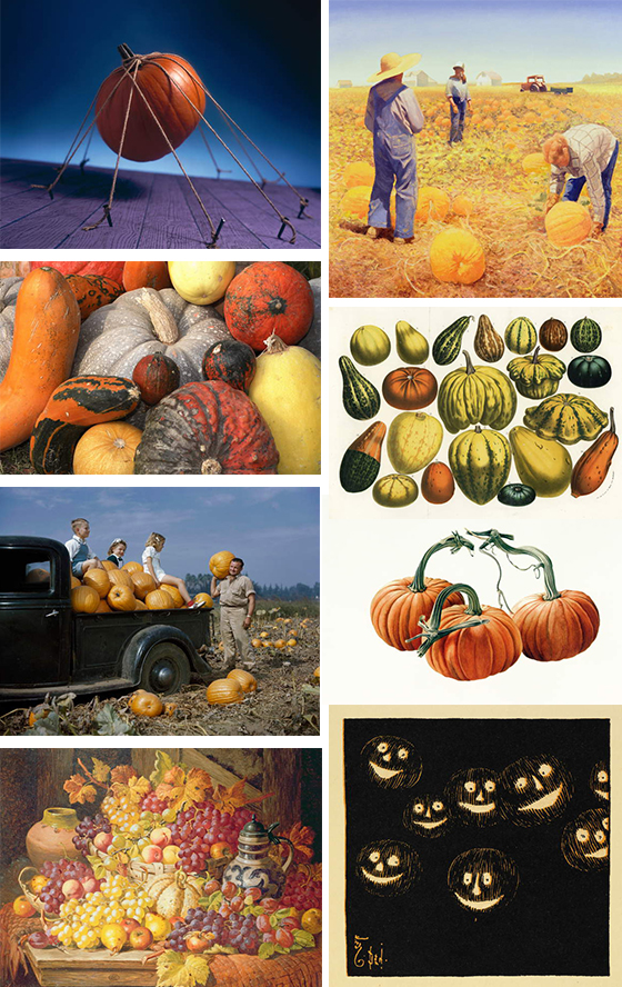 collage of pumkin images