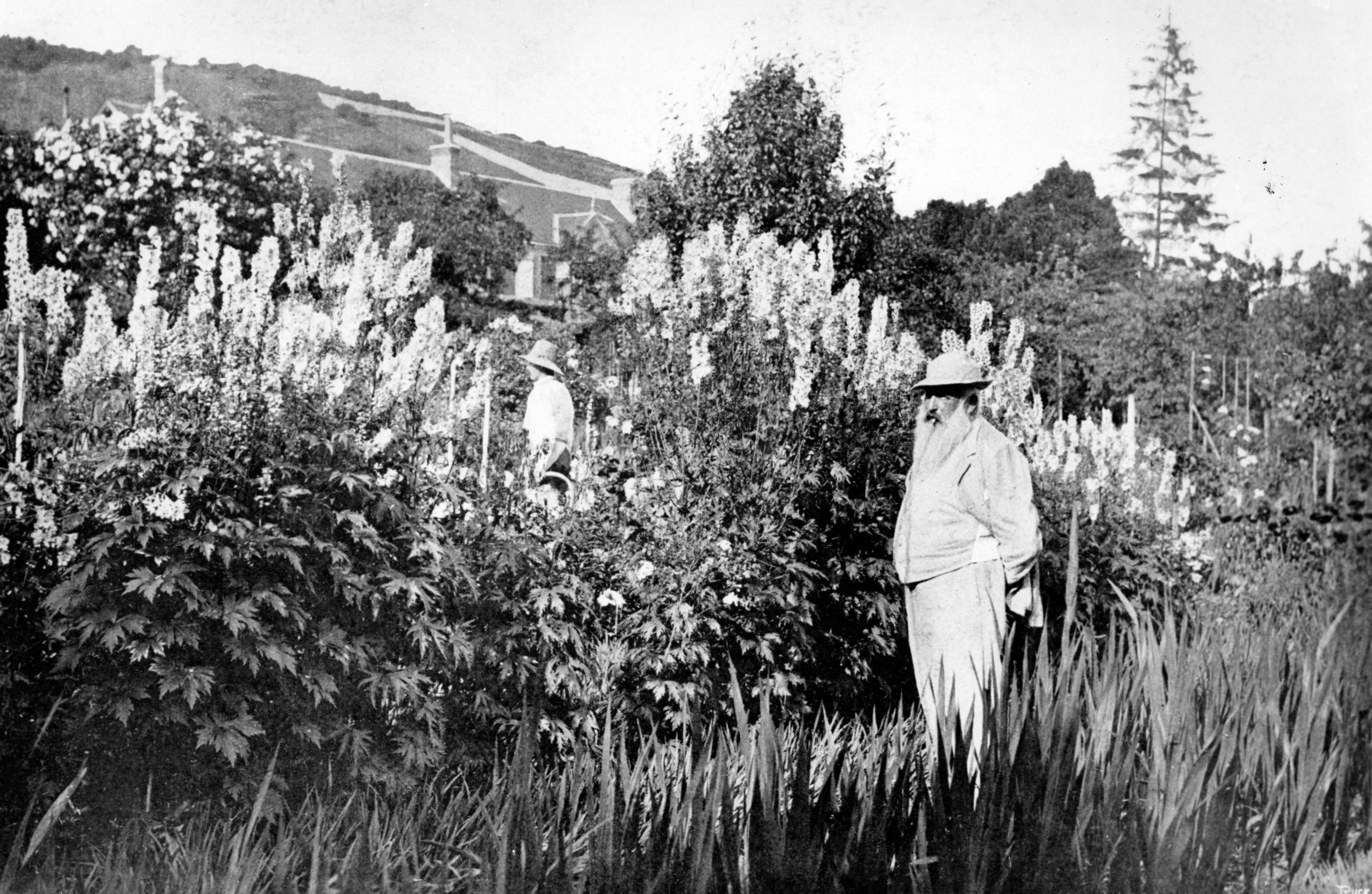 Image of Claude Monet at Giverny, 1908, 