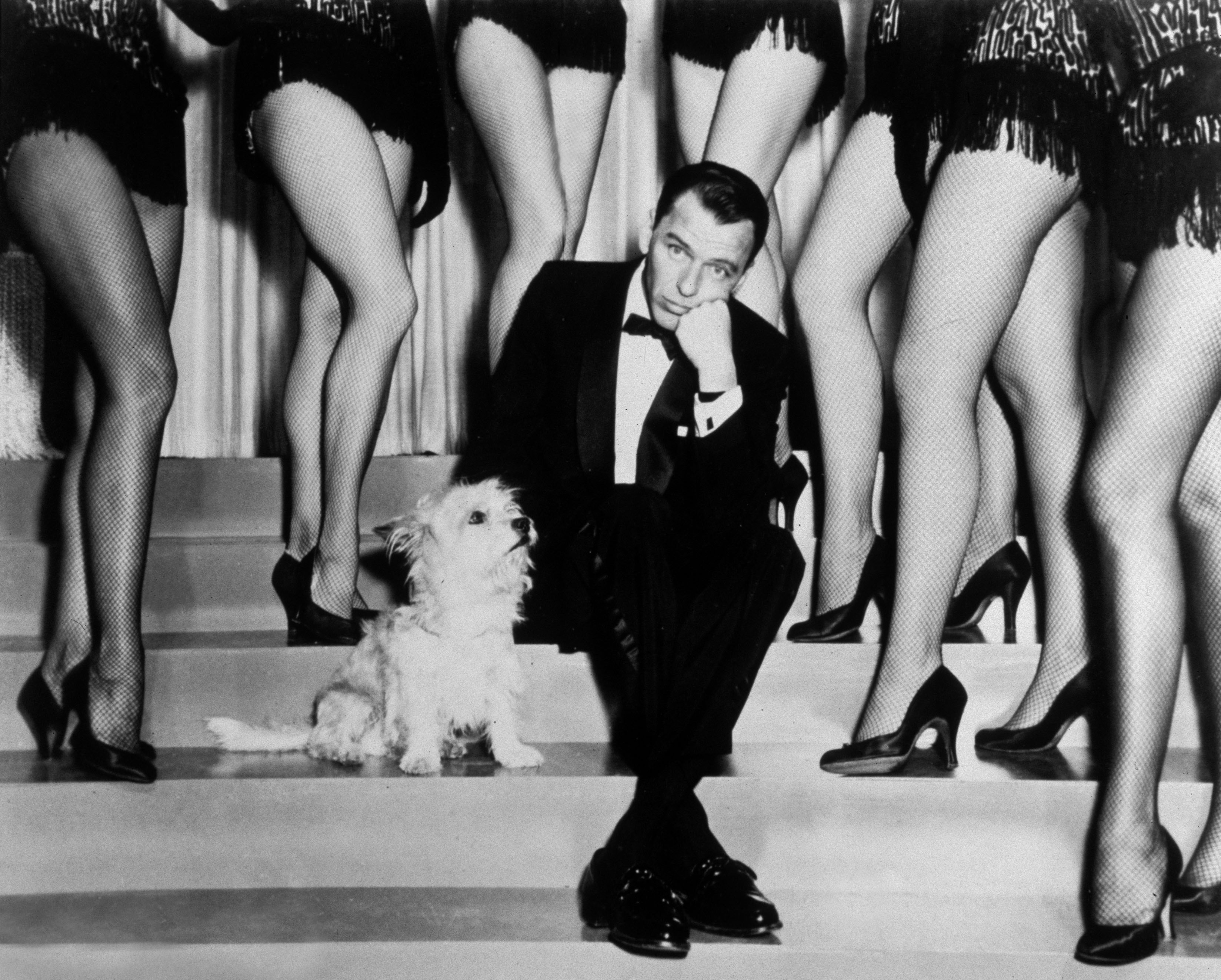 Frank Sinatra / Photo © Collection CSFF / Bridgeman Images