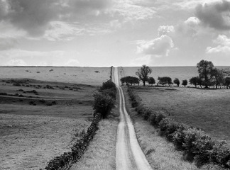 Country road, Stamfordham, Northumberland, 1950s, John Gay