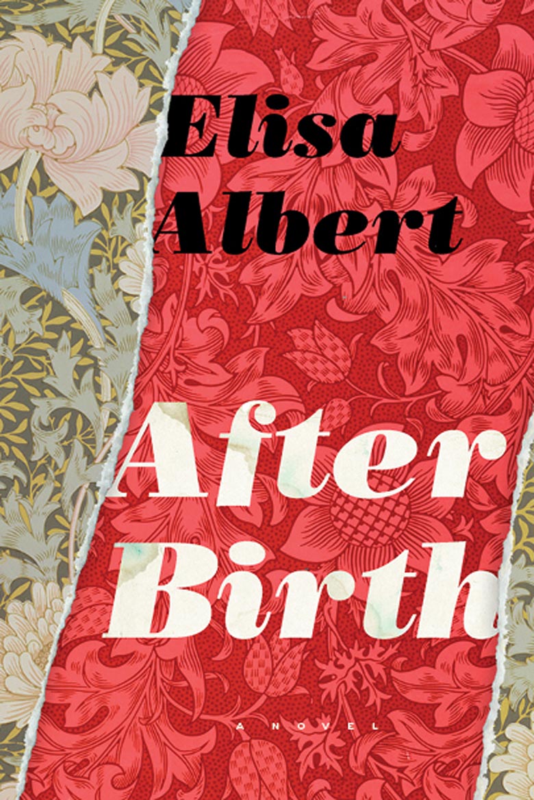 image of the book cover of After Birth, published by © HOUGHTON MIFFLIN HARCOURT. Designer: Martha Kennedy featuring a Bridgeman Image on the cover