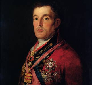 XCF 267426 (détail) Le duc de Wellington, 1812-14, Francisco Jose de Goya y Lucientes - 1812-14 - National Gallery, Londres