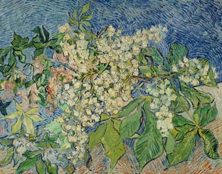XTD 68227 Branches de noisetier en fleurs, Vincent van Gogh - 1890, huile sur toile, Fondation Emil Buehrle, Zurich, Suisse