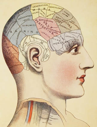 A phrenological map of the human brain, from 'Virtue's Household Physician', published in 1924  by English School, (20th century) Private Collection/ Ken Wels