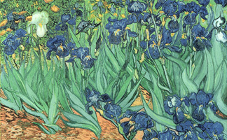 BAL40070 Irises, 1889 (oil on canvas) by Vincent van Gogh (1853-90), J. Paul Getty Museum, Los Angeles, USA