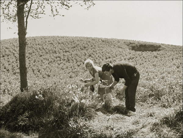 Riprese del film "Accatone" nel 1961: Franca Pasut e Franco Citti in una scena del film. © Farabola / Bridgeman Images