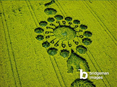 Image of Crop circle in an oilseed rape field, Milk Hill, Alton Priors, Vale of Pewsey, Wiltshire, 15th April 1999 (aerial photograph) © Francine Blake / Bridgeman Images