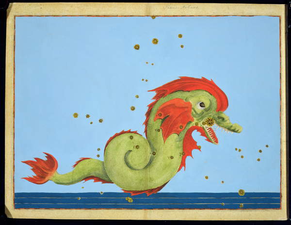 Konstellation der Fische, aus 'Uranometria' von Johann Bayer, gestochen von Alexander Mair